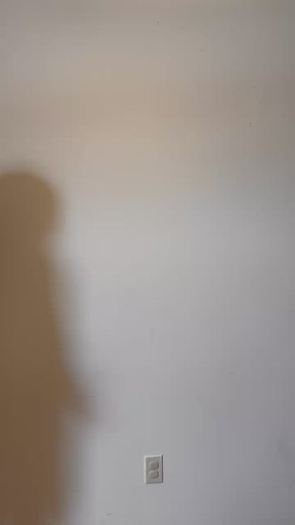 I will succeed because I am insane cherry Vintage Tee (plus size friendly)